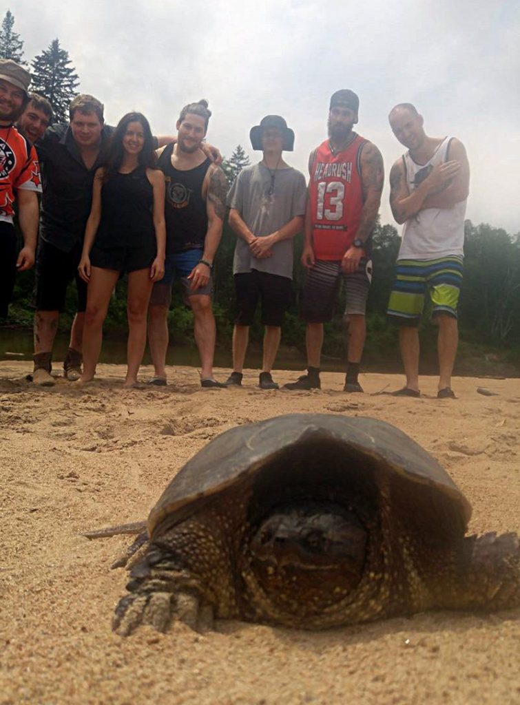 Tortue sur la rivière Rouge